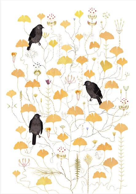 Crow Tree – Kraktrad