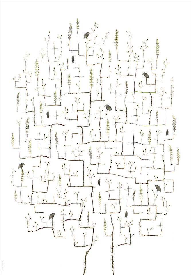 Bird Tree – Fageltrad