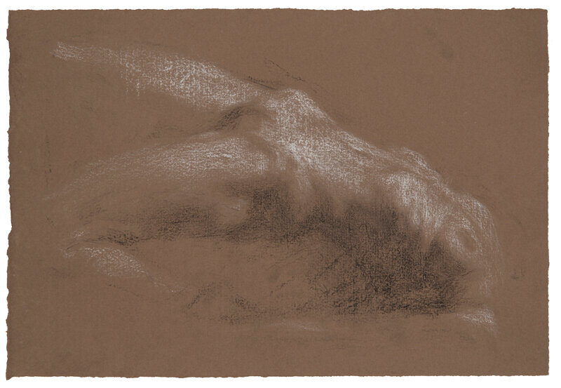 Callista Stretching – Révèle