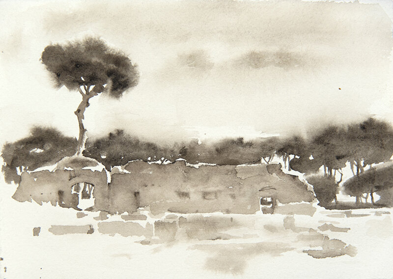 Palatino Pine Wall – Ad Libitum