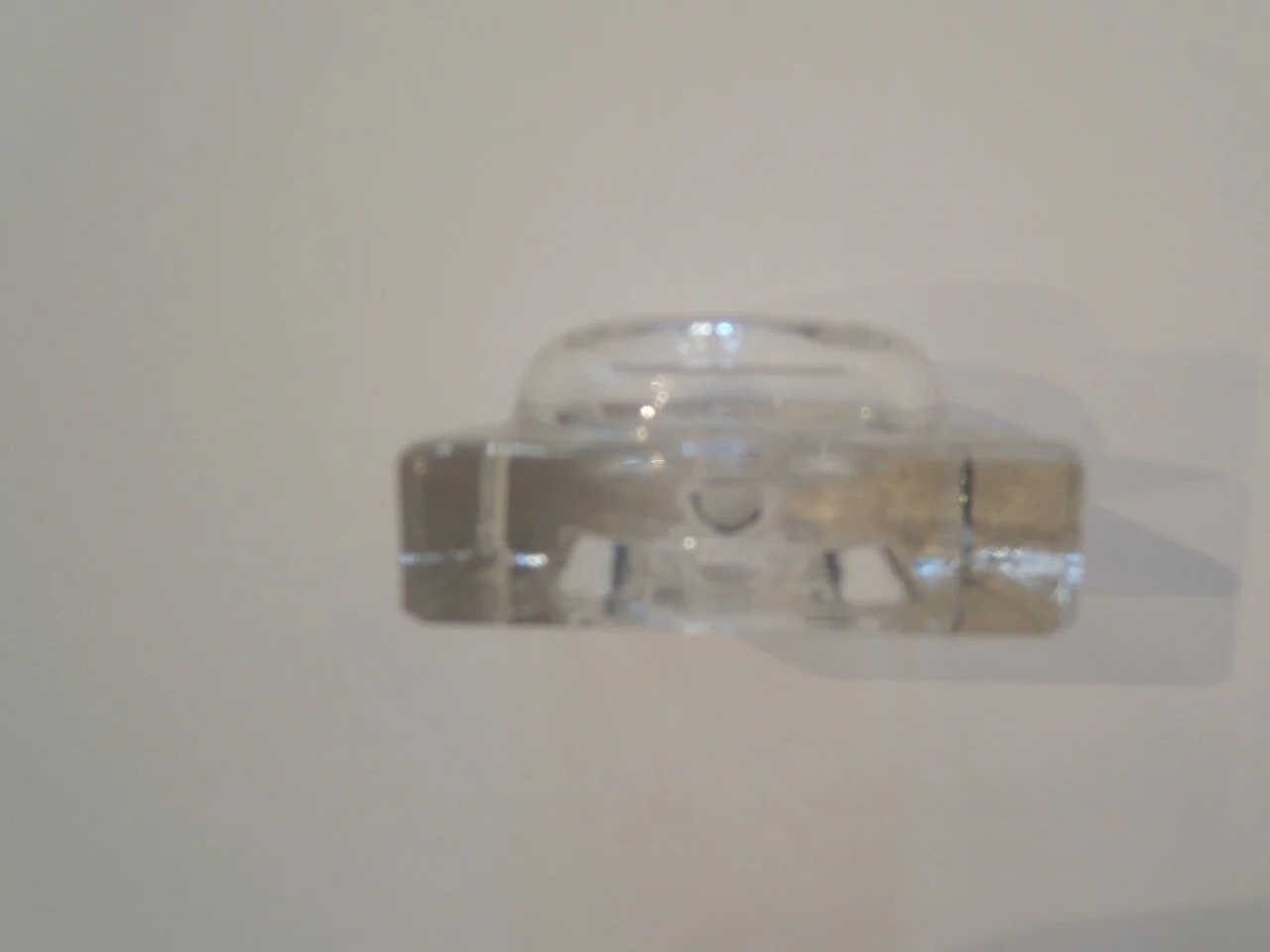 DSCN6446.jpg