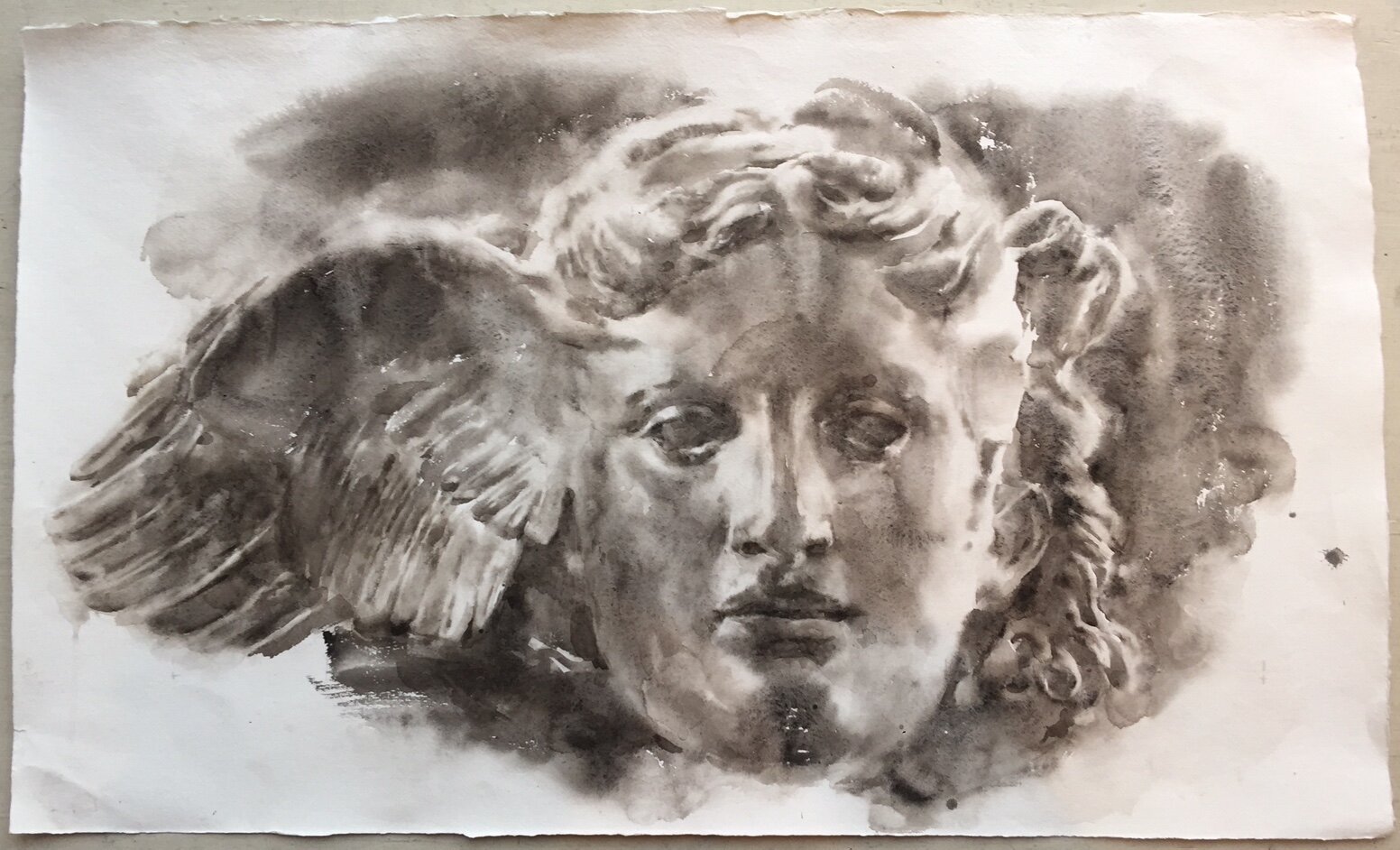 HPNOS wing.190721s.21%22 wide x 34 1:2%22 high.jpg