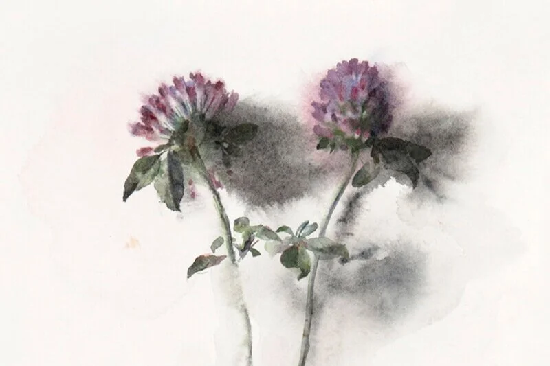 LUSH – Wendy Artin