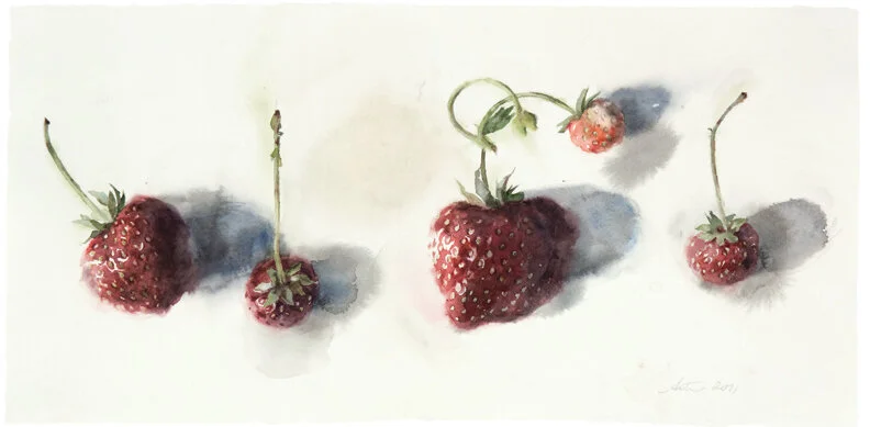 110707nmstrawberries16x32.jpg