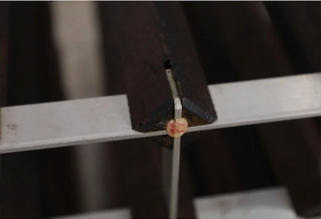 Screen Shot 2022-09-17 at 4.41.16 PM.jpeg