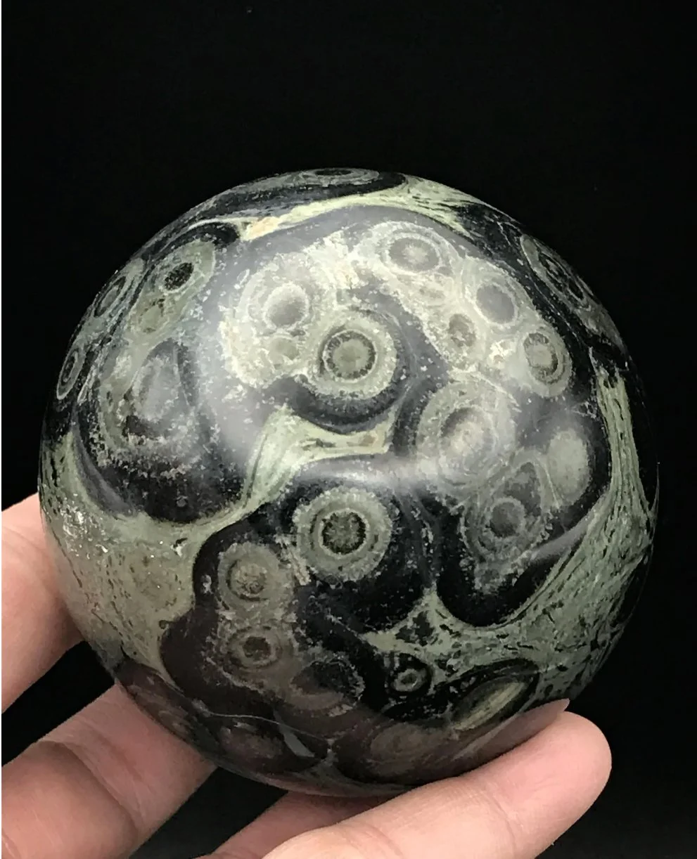 Screen Shot 2023-02-23 at 2.02.29 PM.jpeg