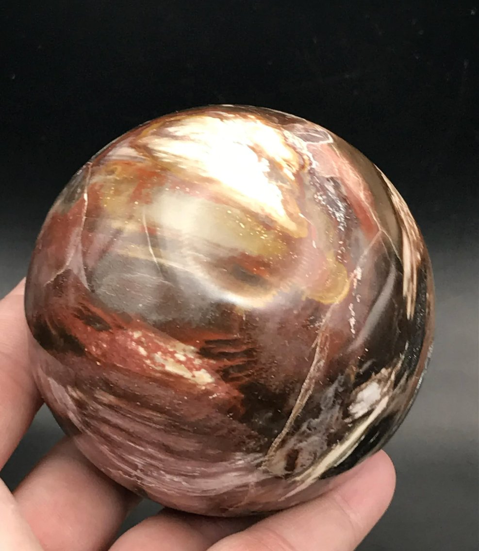 Screen Shot 2023-02-23 at 2.04.48 PM.jpeg