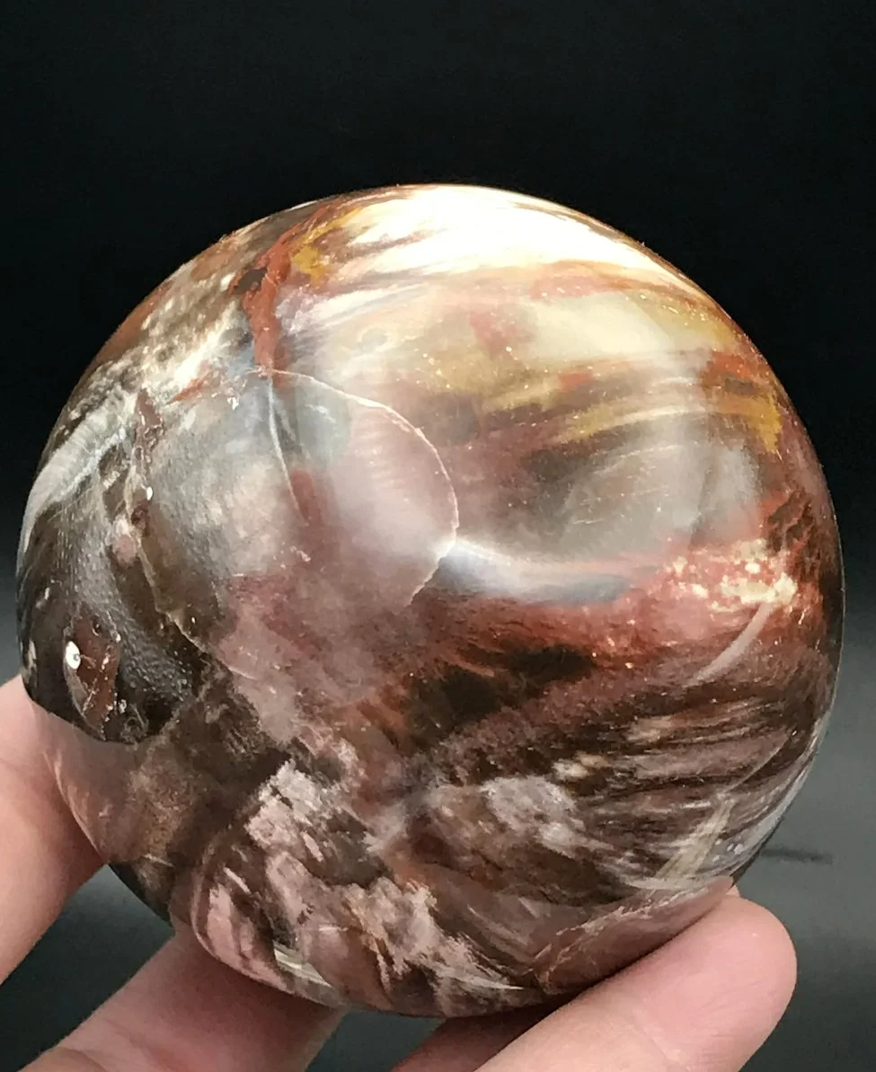 Screen Shot 2023-02-23 at 2.04.56 PM.jpeg