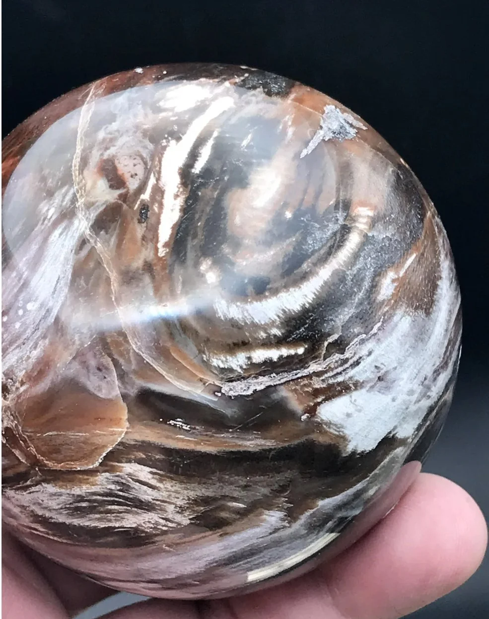 Screen Shot 2023-02-23 at 2.05.03 PM.jpeg