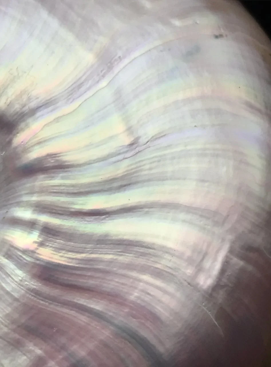 Screen Shot 2023-02-23 at 2.07.00 PM.jpeg