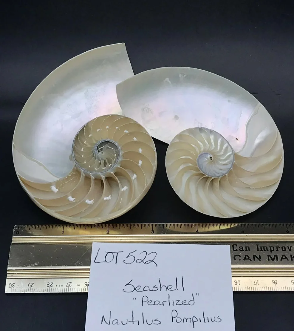 Screen Shot 2023-02-23 at 2.06.54 PM.jpeg