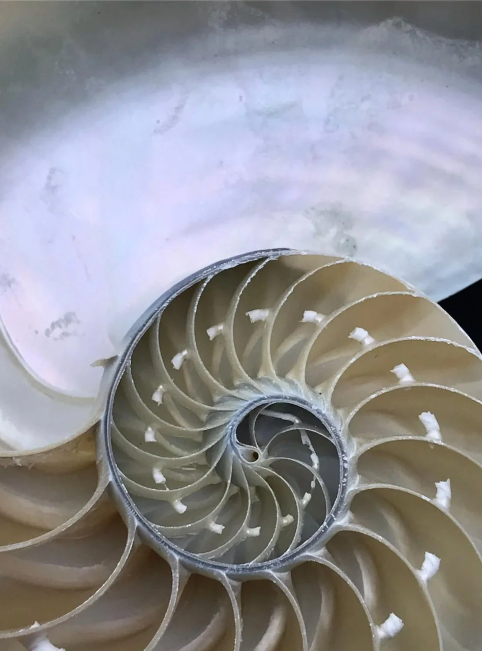 Screen Shot 2023-02-23 at 2.06.48 PM.jpeg