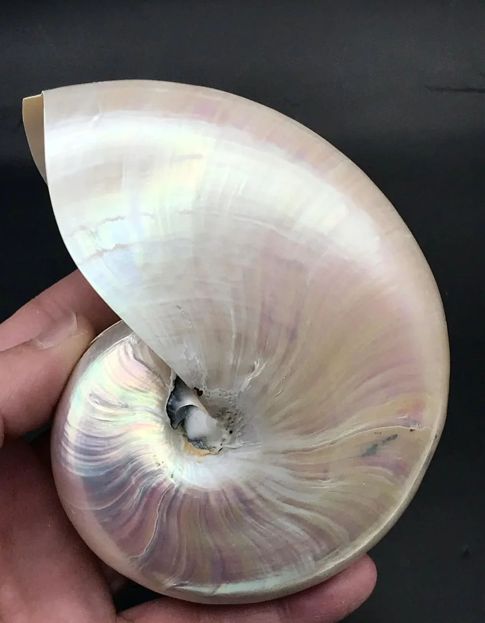 Screen Shot 2023-02-23 at 2.06.43 PM.jpeg