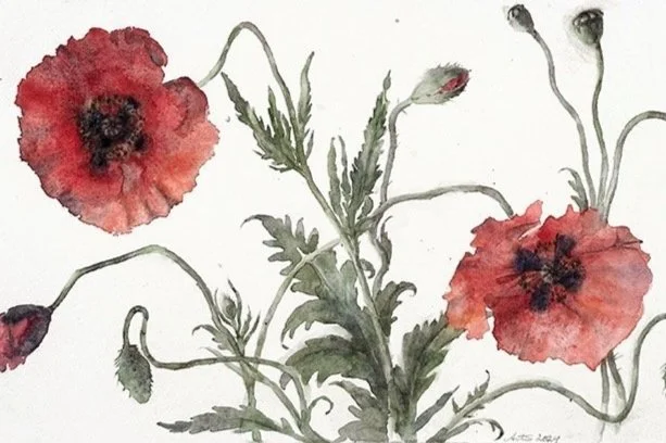 FLOWERS, FRIEZES, AND FRESCOES - Wendy Artin