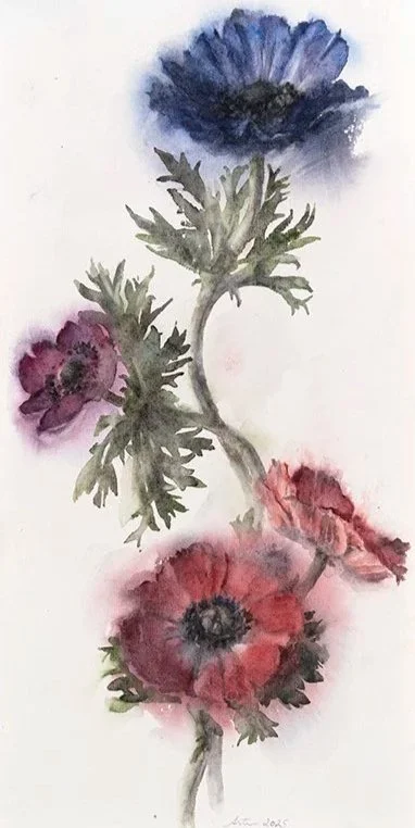 250415nm-Anemones1.17x35.800.jpg