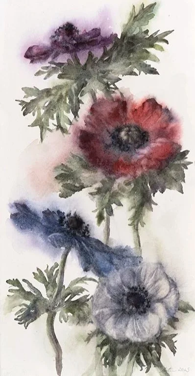 250416nm-Anemones2.17x35.800.jpg