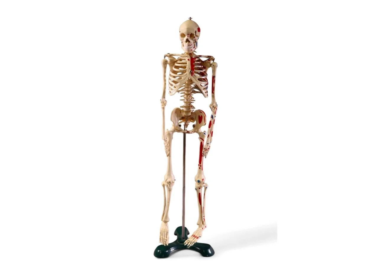 Screenshot 2024-04-20 at 3.32.39 PM.jpeg