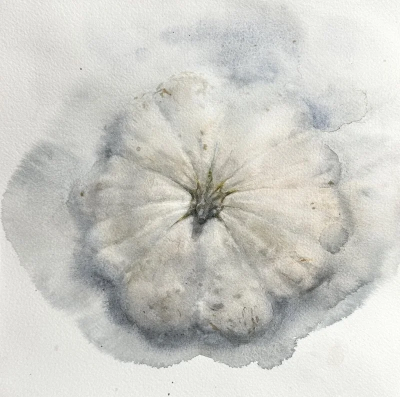 250822nm-whitesquash23x23.800.jpg
