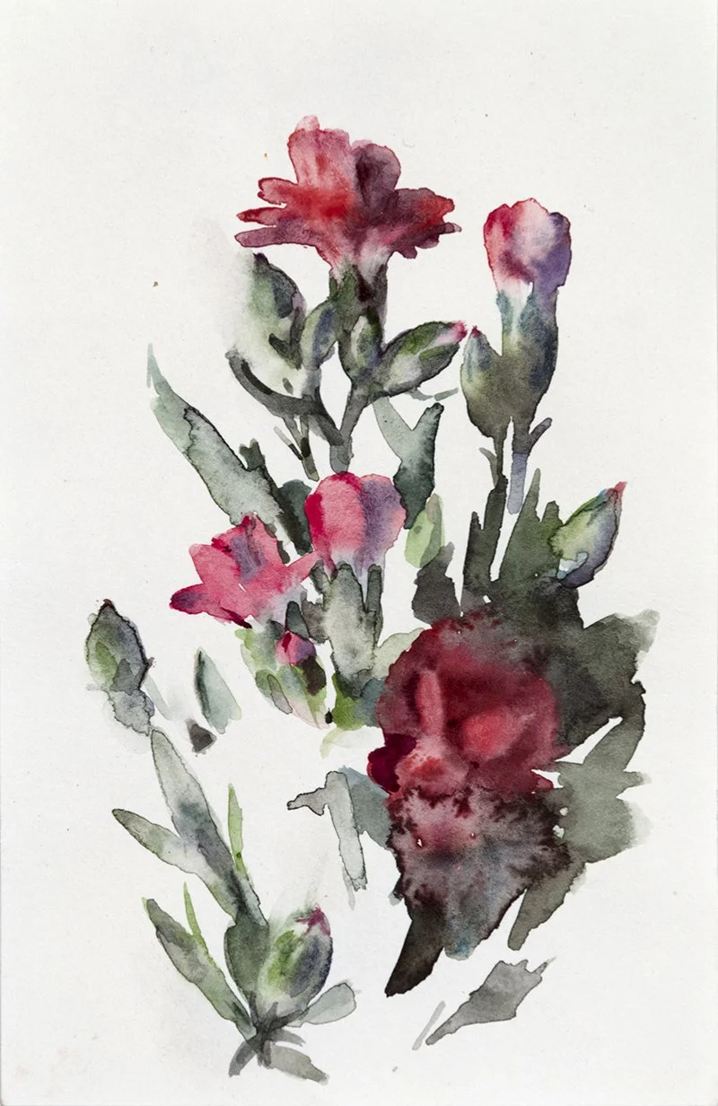 Mini Carnation 2