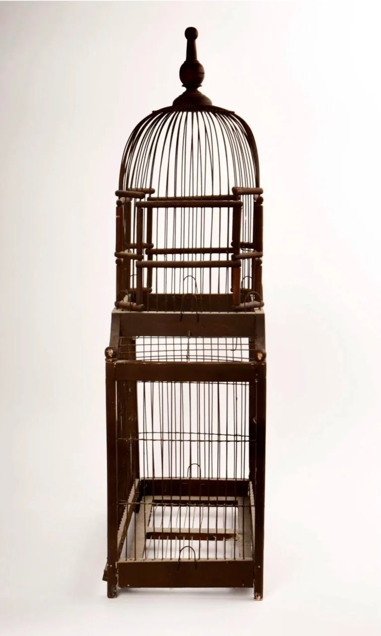 Screenshot 2024-08-06 at 4.38.19 PM.jpeg