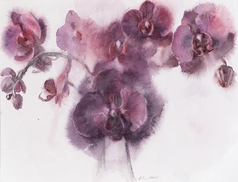 Purple Orchids