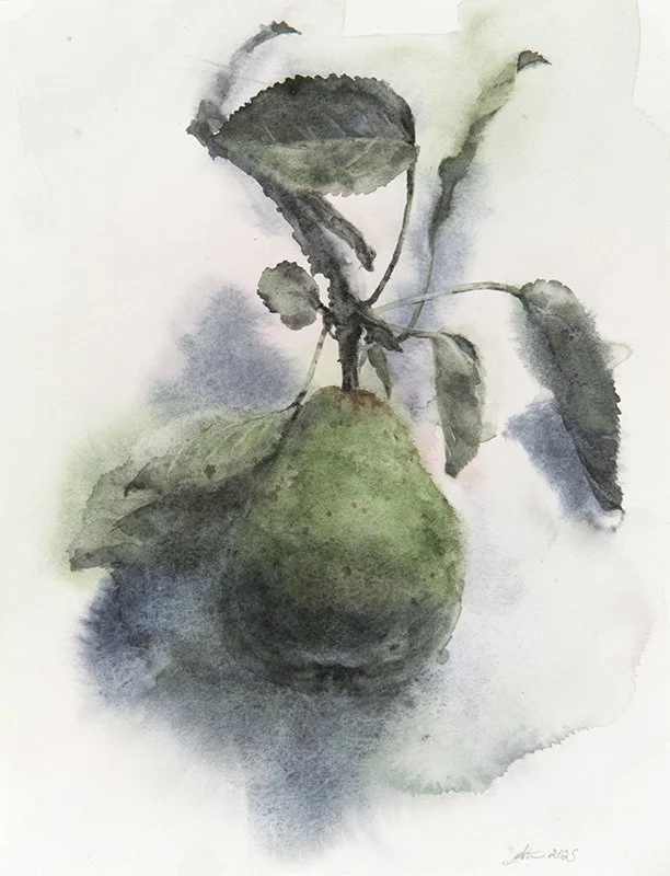250422nm-Singlepear20x26.800.jpg