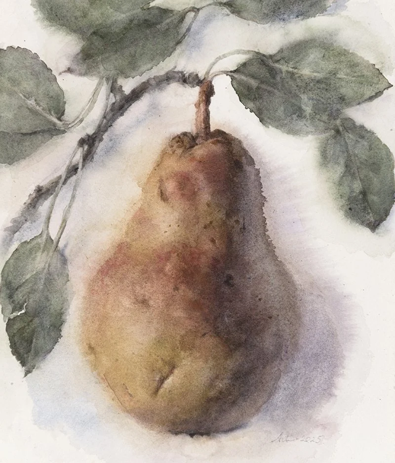 250421nm-Pearwithleaves.20x23.800.jpg