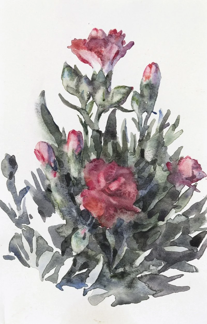 Mini Carnation 3