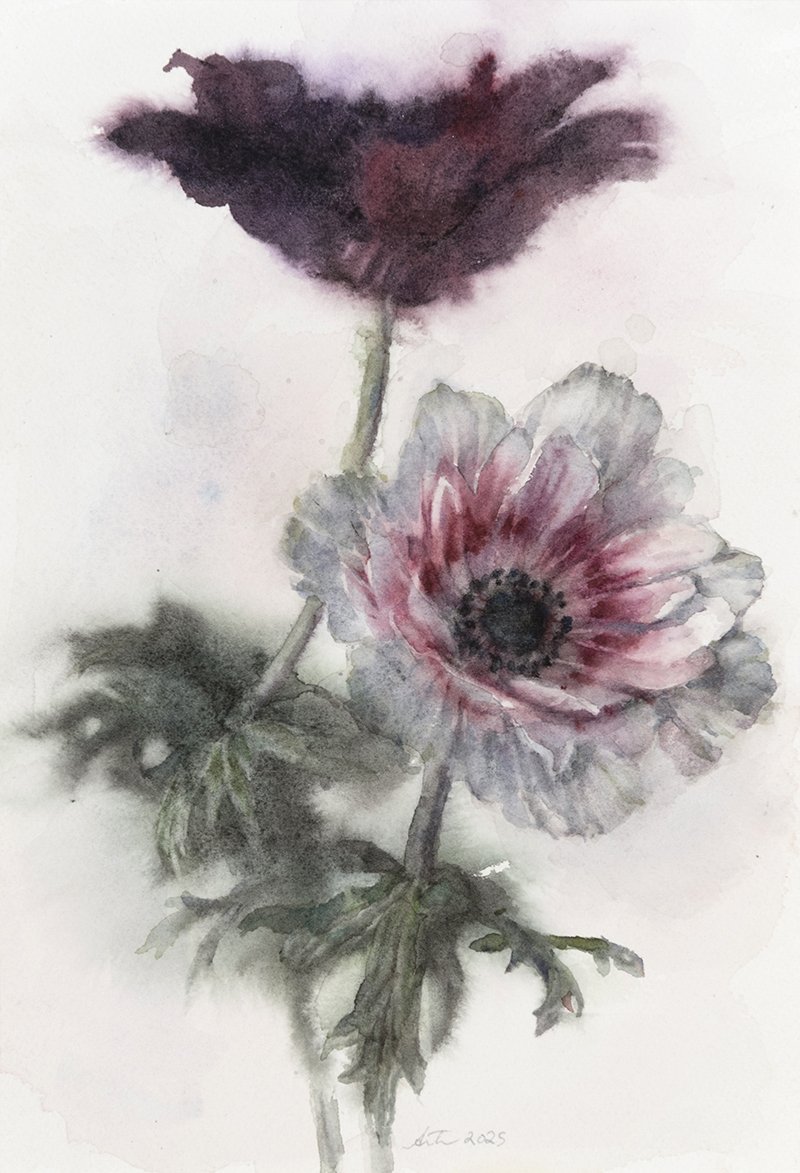Two Anemones