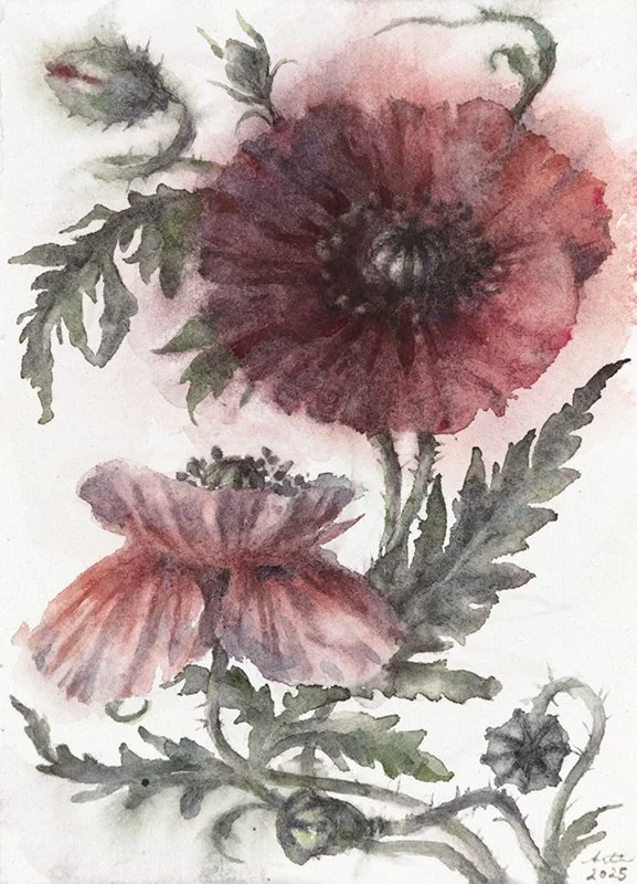 Small Poppies 2