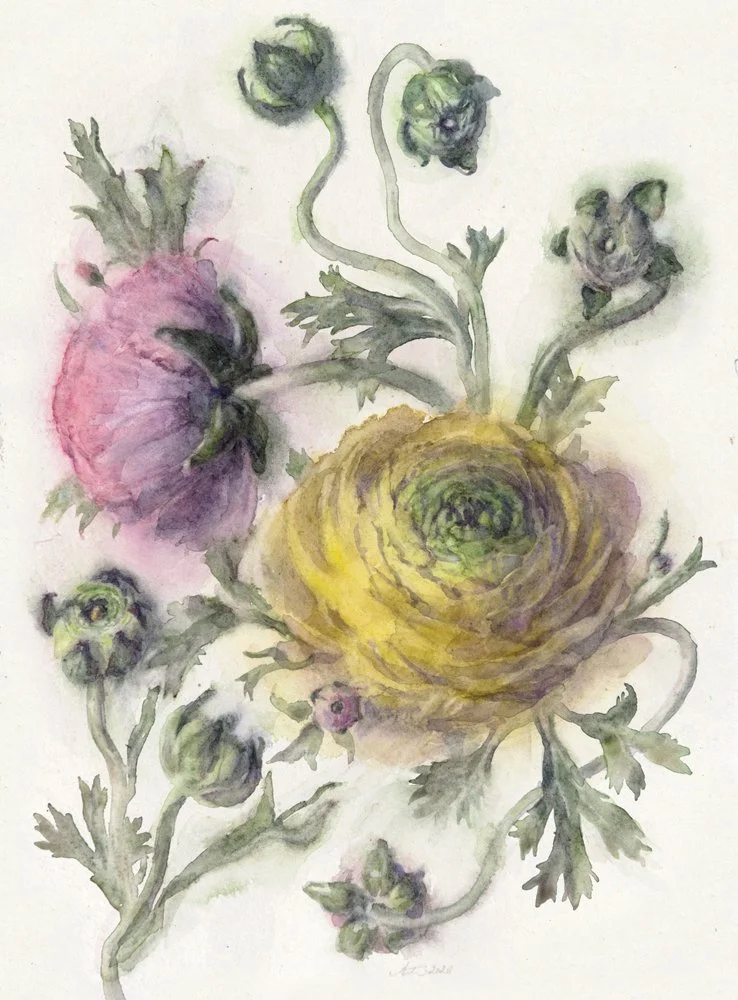 WendyArtin.260116nm-yellowandpinkranunculi38x29.oct9.WEB.jpg