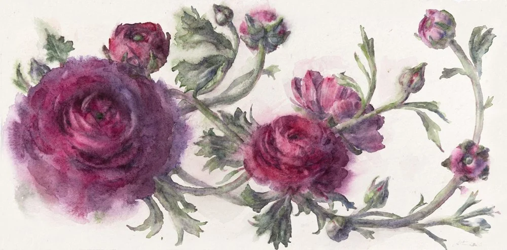 WendyArtin.260202nm-pinkswirlyranunculi20x38.WEB.oct9.jpg