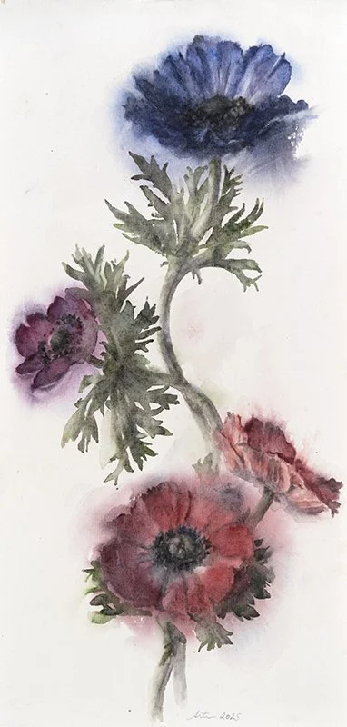 250415nm-Anemones1.17x35.800.jpg