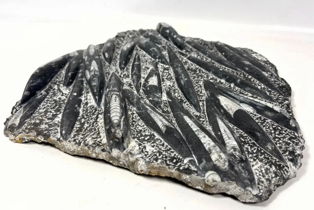 Screenshot 2024-08-06 at 3.42.55 PM.jpeg