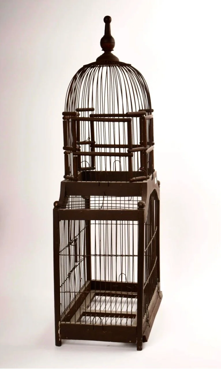 Screenshot 2024-08-06 at 4.38.11 PM.jpeg