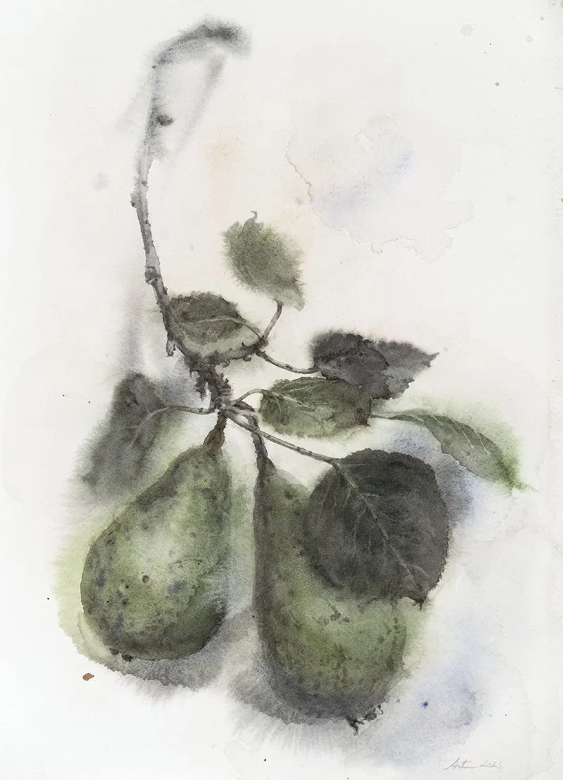 250411nm-2Pearsbranch.26x36.800.jpg
