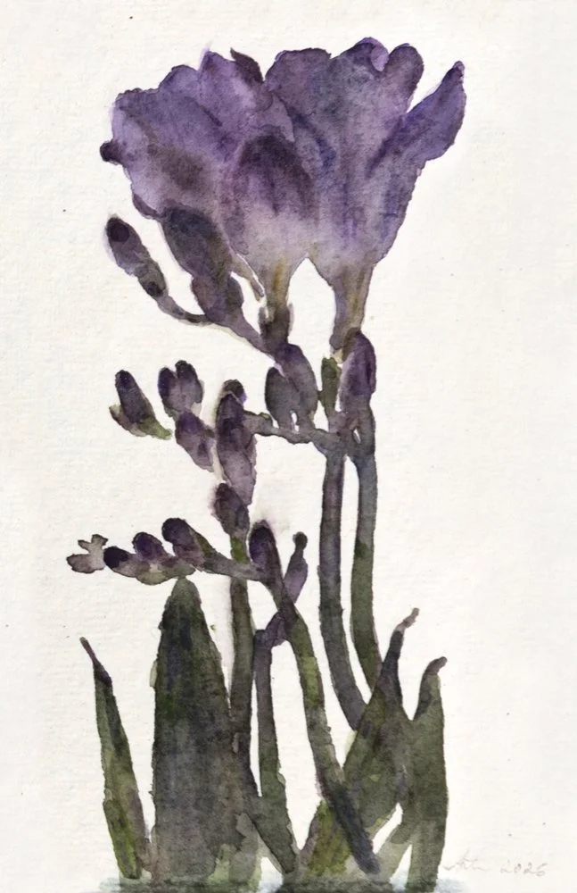 WendyArtin.260305nm-Freesia17x12.WEB.jpg
