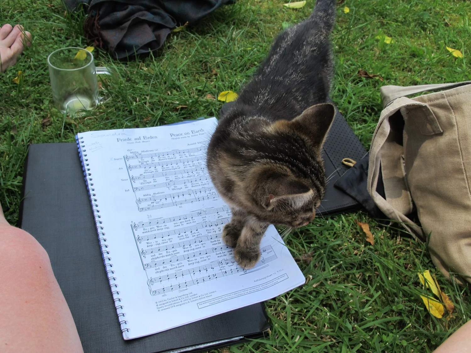 Bladmuziek.jpg