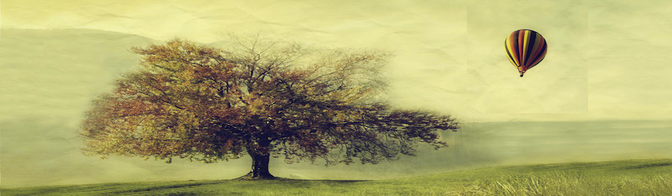 tree and balloon.jpg