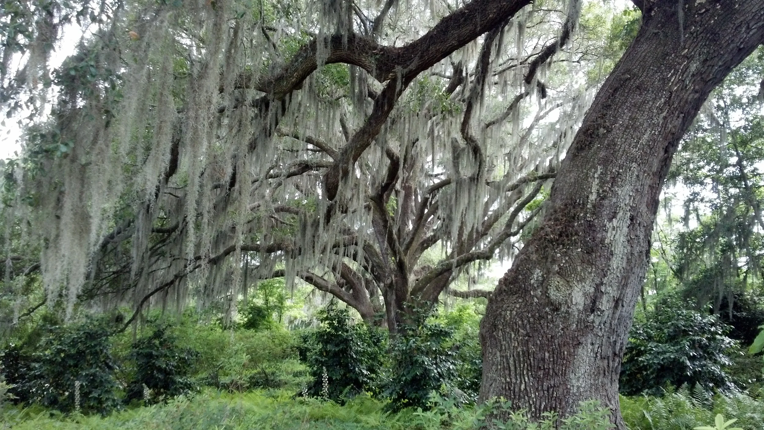 2012-05-05 16.03.59.jpg