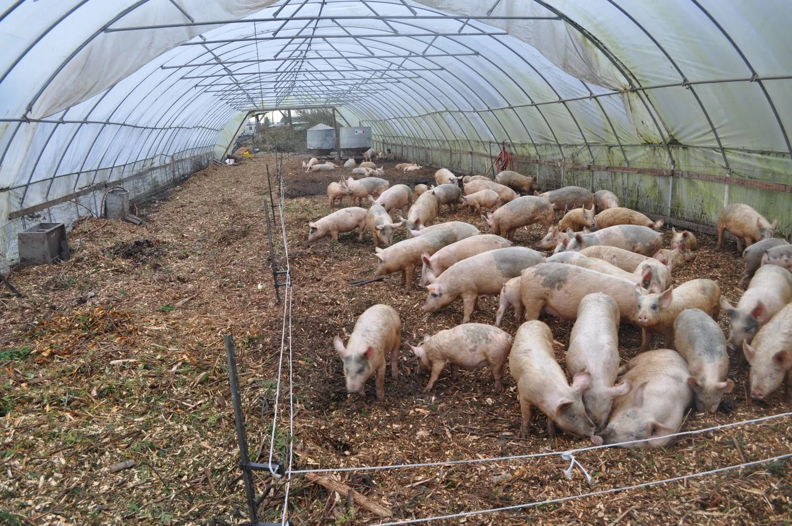 Photo by&nbsp;ebeyfarms.blogspot
