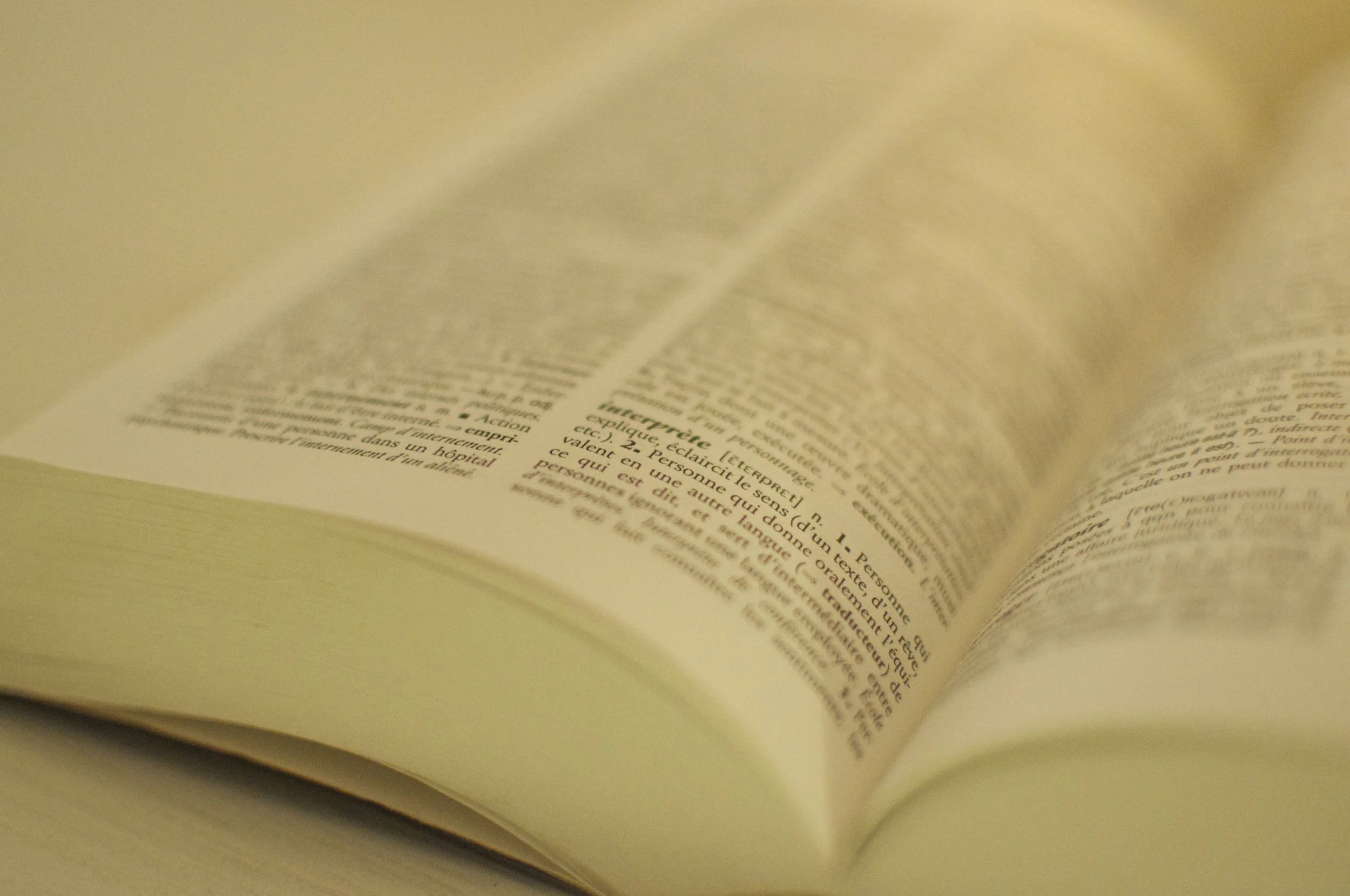 Wandelend woordenboek