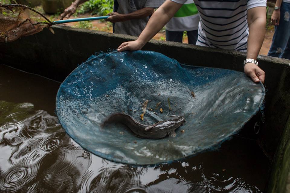 This is how locals gather ingredients for dinner in Ban Huai Raeng.