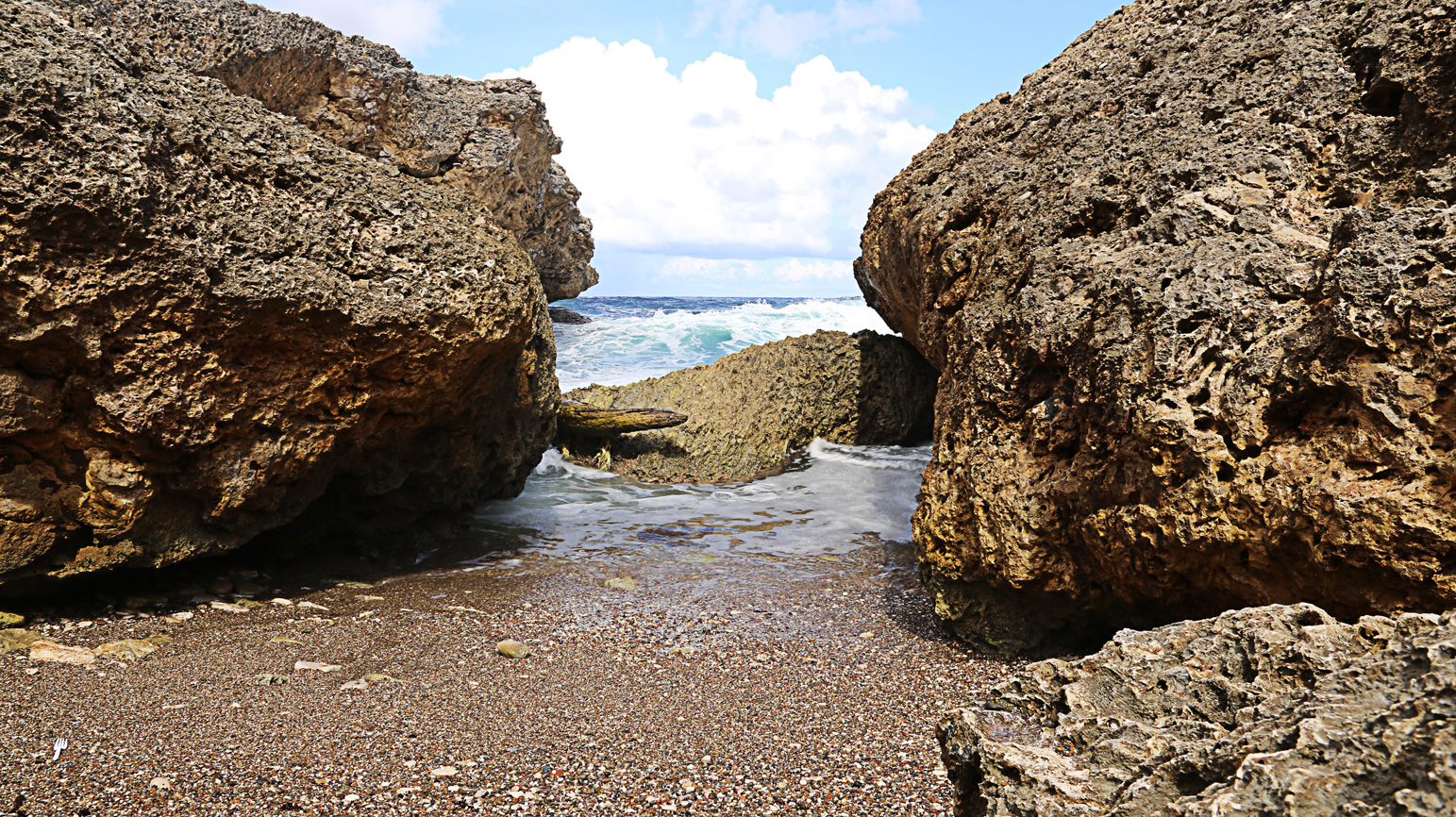 Keep your eyes peeled for sea turtles on your next visit. (c) Curacao Tourist Board