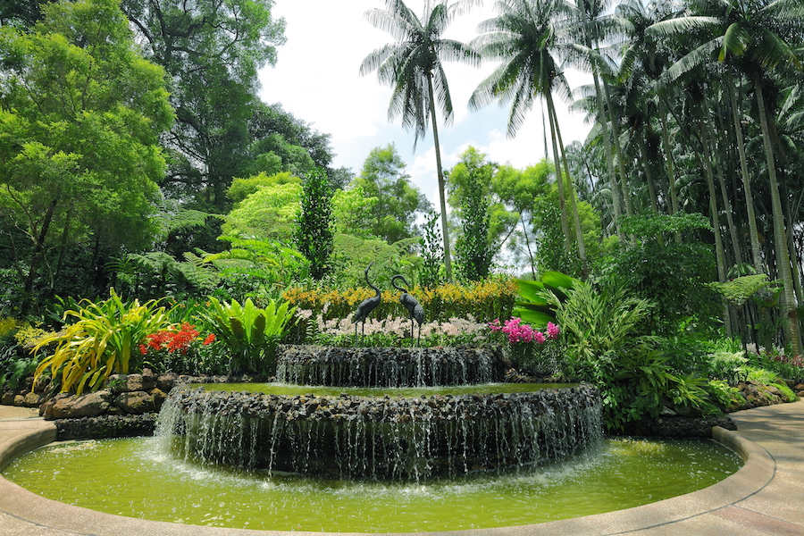 Singapore Botanic Gardens. Image courtesy of the Singapore Tourism Board.