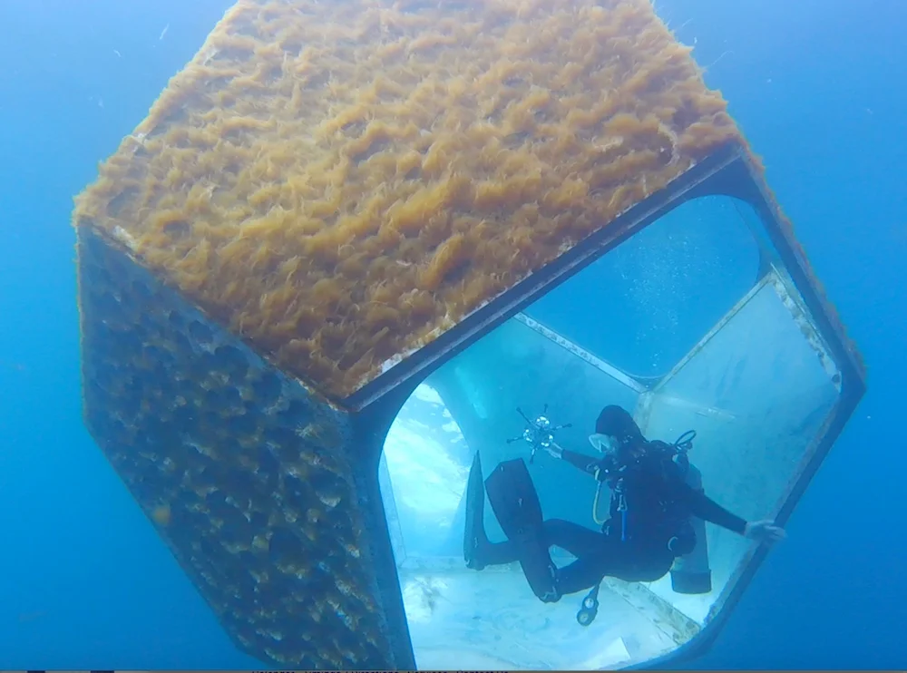 Scuba Dive Through Doug Aitken's New Traveling Art Exhibit in VR / 360