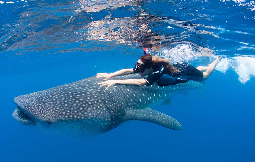 Image courtesy of EcoColor Tours Mexico
