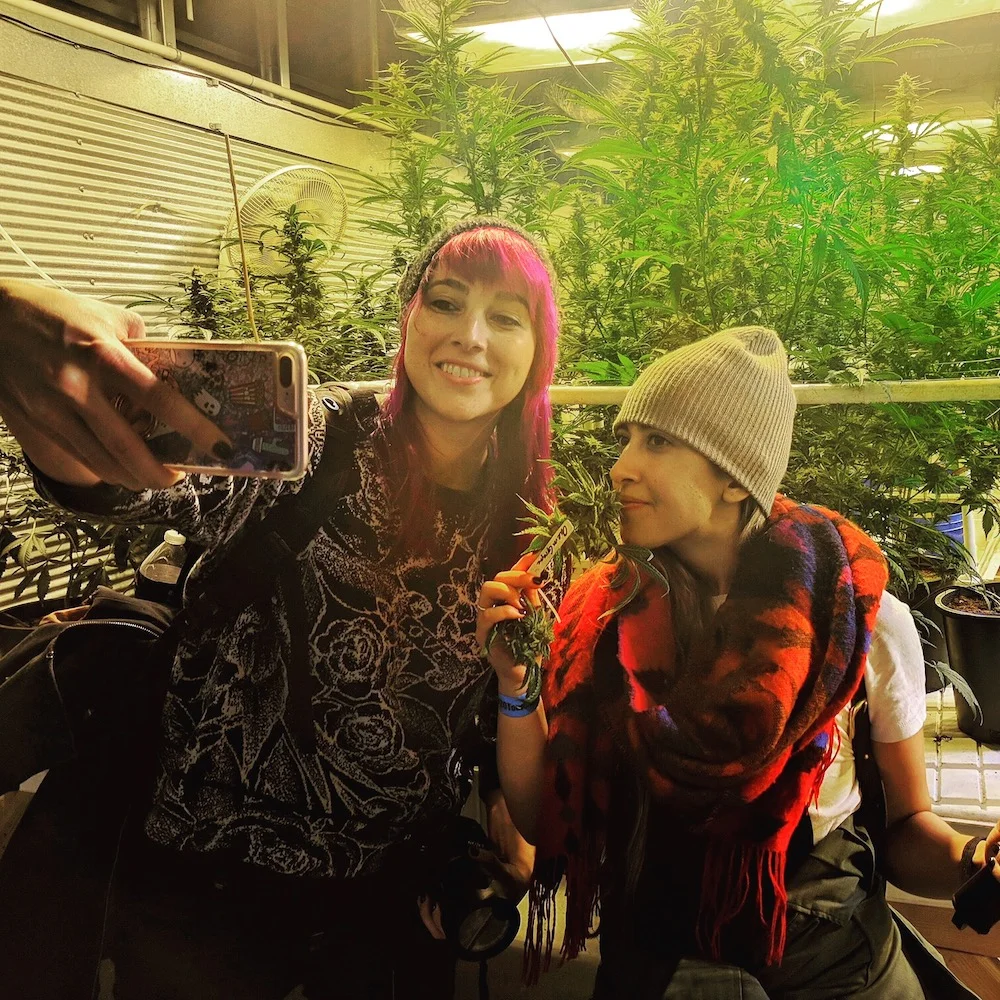 A Stoner’s Guide to Weed Tourism in Denver