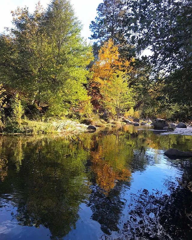 Waking up to this view a couple weeks ago was 👌👌 Sedona&rsquo;s Oak Creek is absolutely gorgeous this time of year 😍