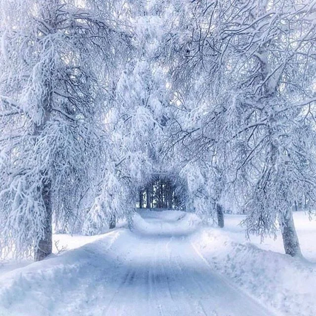 If this isn&rsquo;t a winter wonderland, I don&rsquo;t know what is. 📷: @samnicwar